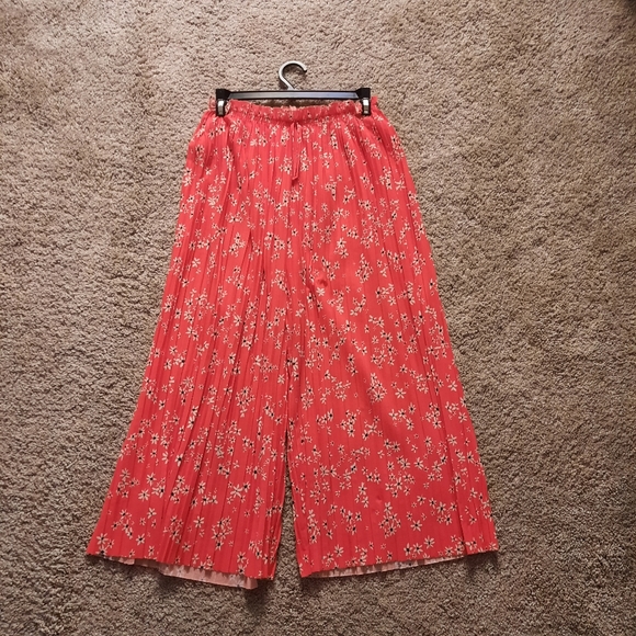 Zara pants